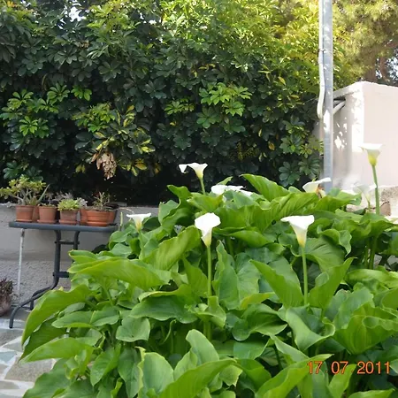 Thor & Freyja's Of Poseidonia Syros House بيت للعطل *